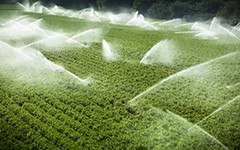 滴灌的发展前景如何