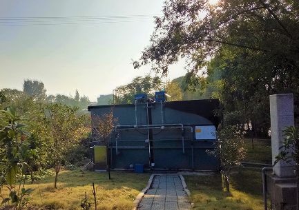 构建新型复合人工湿地的注意事项有哪些 构建新型复合人工湿地的注意事项有哪些