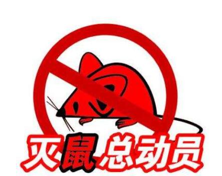 深圳灭鼠公司对工厂灭鼠的预防和治理重点 深圳灭鼠公司对工厂灭鼠的预防和治理重点