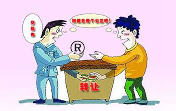 注册商标转让受让方应着重了解哪些内容