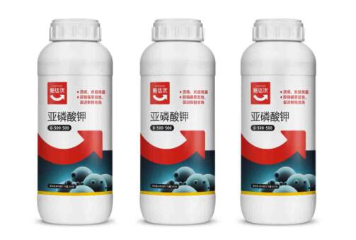 提供什么服务的生物肥料厂家比较好 提供什么服务的生物肥料厂家比较好