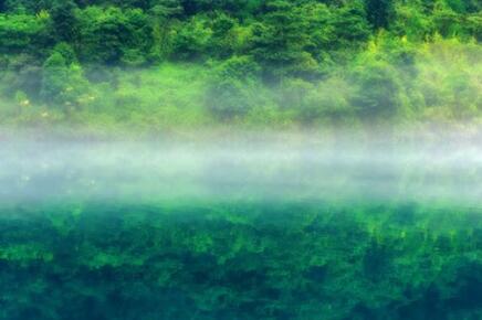 植物产业化研发未来有何发展前景