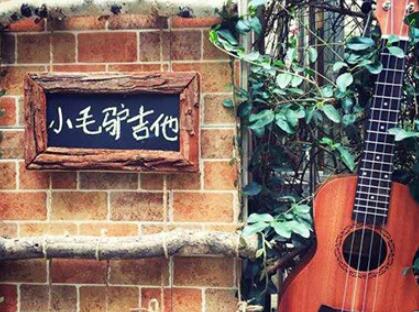 吉他学习深受欢迎的原因是什么 吉他学习深受欢迎的原因是什么