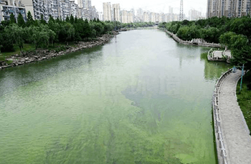 水环境乐天堂fun88评价模型对水资源保护的主要优势 水环境乐天堂fun88评价模型对水资源保护的主要优势