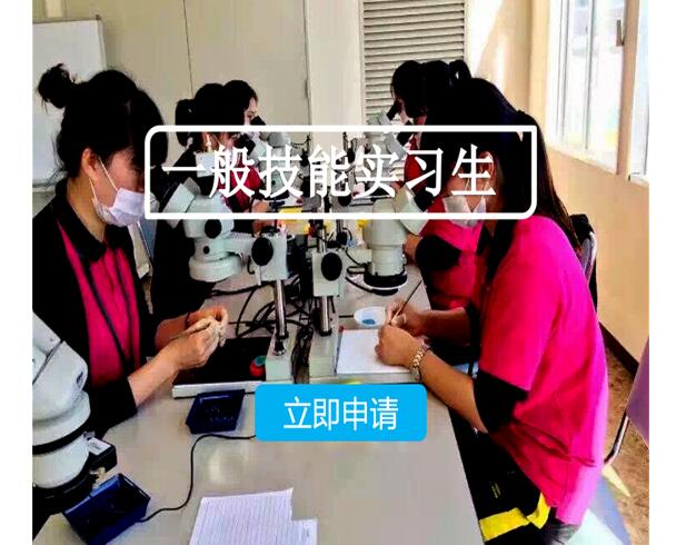 赴日人才服务机构的主要的服务内容有哪些 赴日人才服务机构的主要的服务内容有哪些