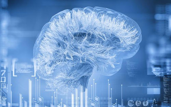 微生物多样性检测机构解读：基因组测序方法有哪些