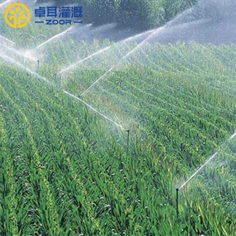 自動灌溉設備的系統類型有哪些? 自動灌溉設備的系統類型有哪些?