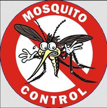 灭蚊子后的相关注意事项有哪些