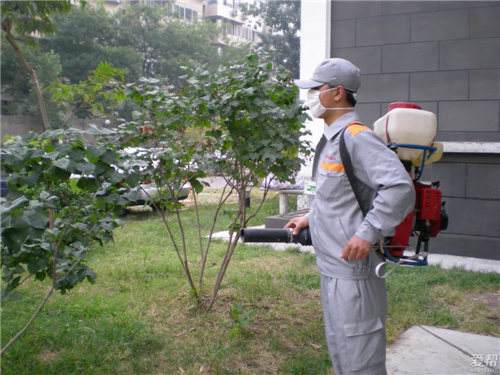 如何选择深圳杀虫公司 如何选择深圳杀虫公司