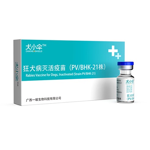 宠物保健品招商的优点有哪些 宠物保健品招商的优点有哪些