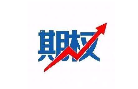 正规期权交易平台应该具备哪些特征 正规期权交易平台应该具备哪些特征